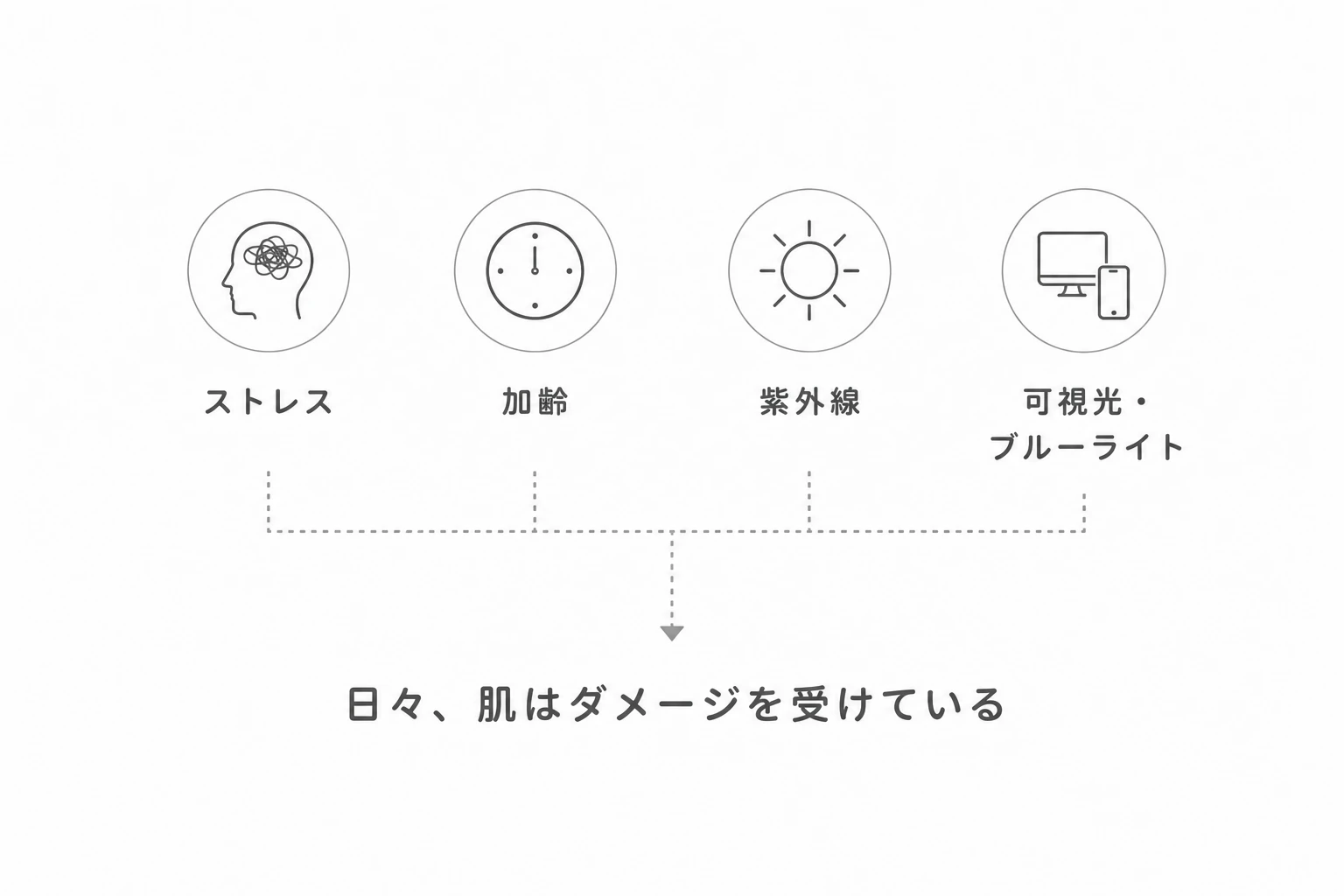 ストレス・加齢・紫外線・ブルーライトにより日々肌がダメージを受けていることを示す図解