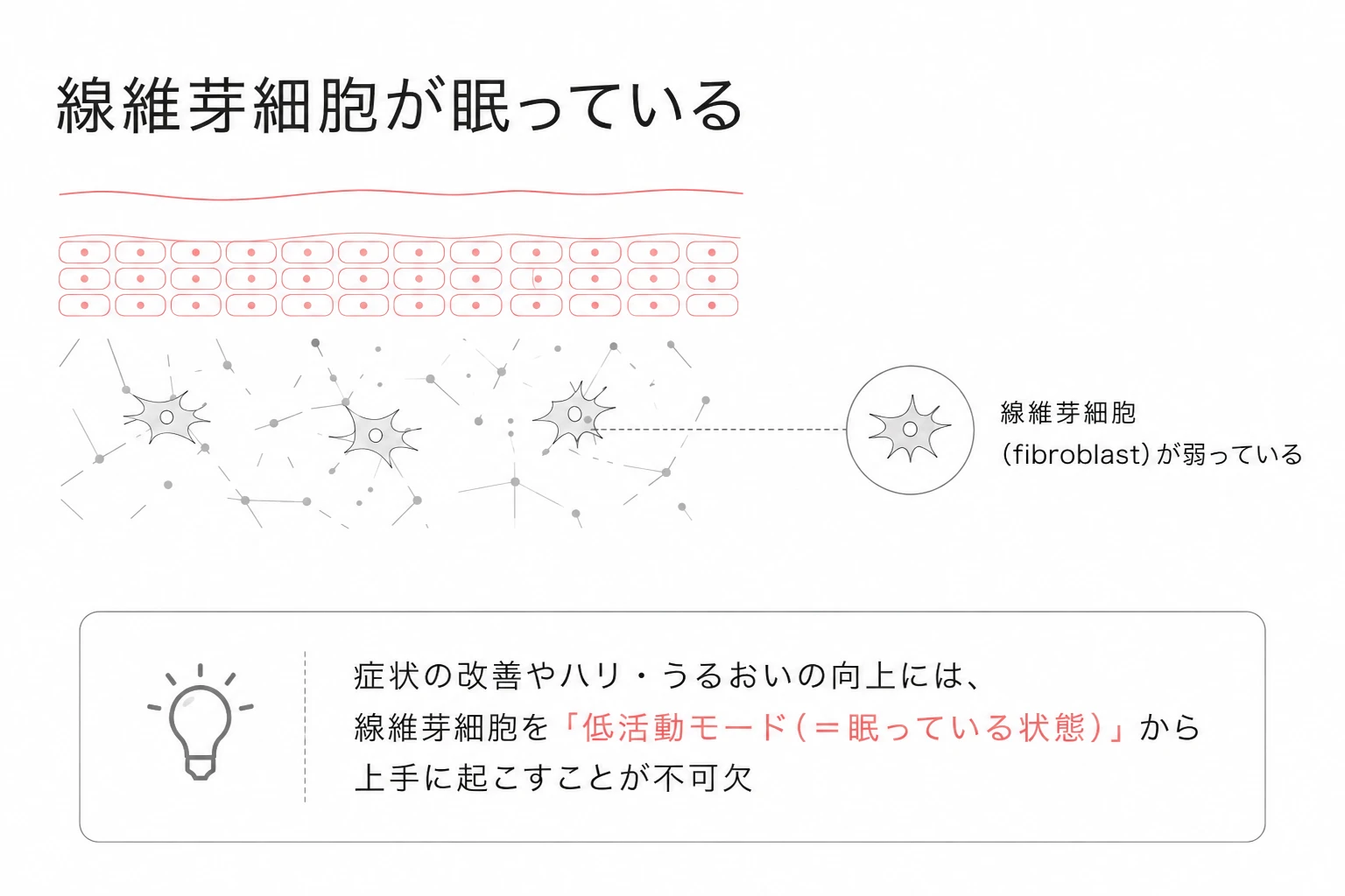 線維芽細胞が低活動モード(眠っている状態)にあり、上手に起こす必要があることを示す図解