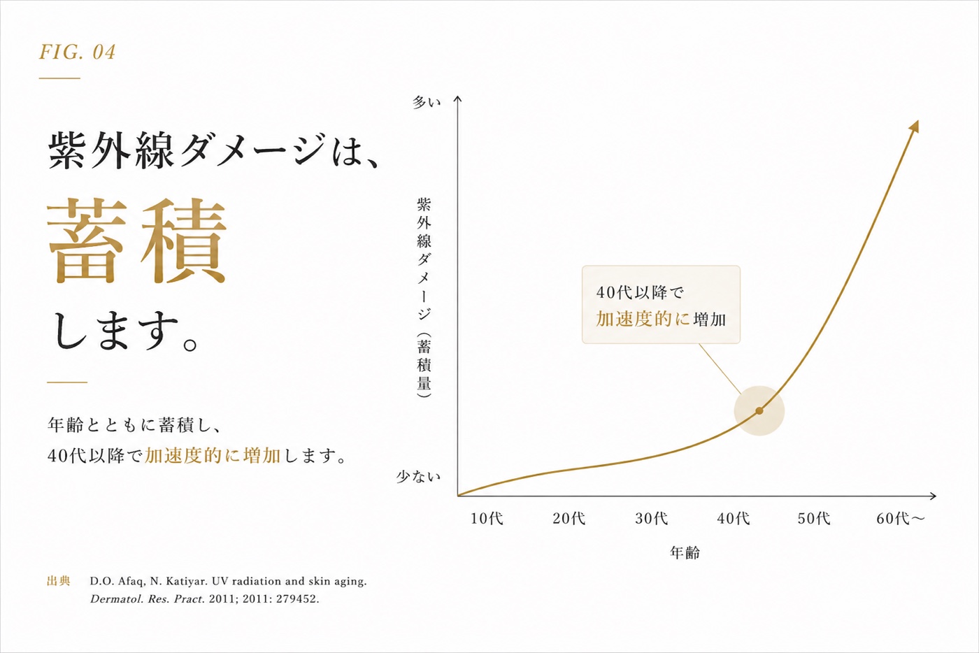 紫外線ダメージが年齢とともに蓄積し、40代以降で加速度的に増加することを示すグラフ