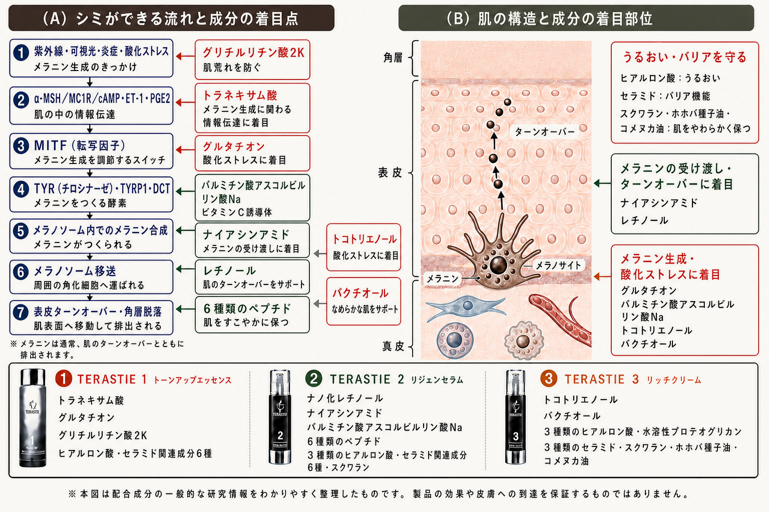 シミができる流れ、肌の構造とTERASTIE各製品の配合成分の着目点を整理した図