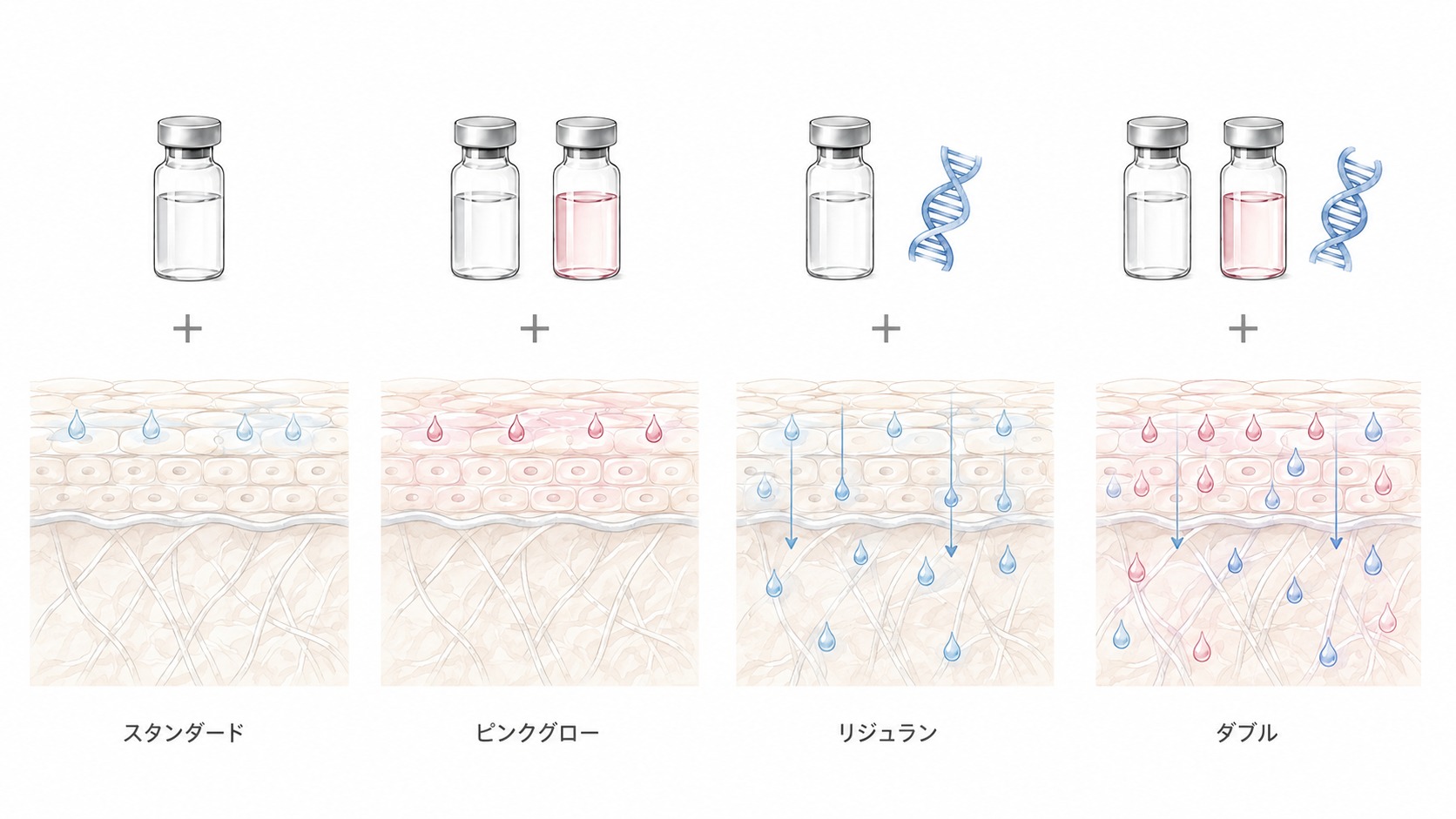 デルマシオ4つのコースの違いを示す図解。スタンダード、ピンクグロー、リジュラン、ダブルの使用製剤と、成分が届く深さのイメージ