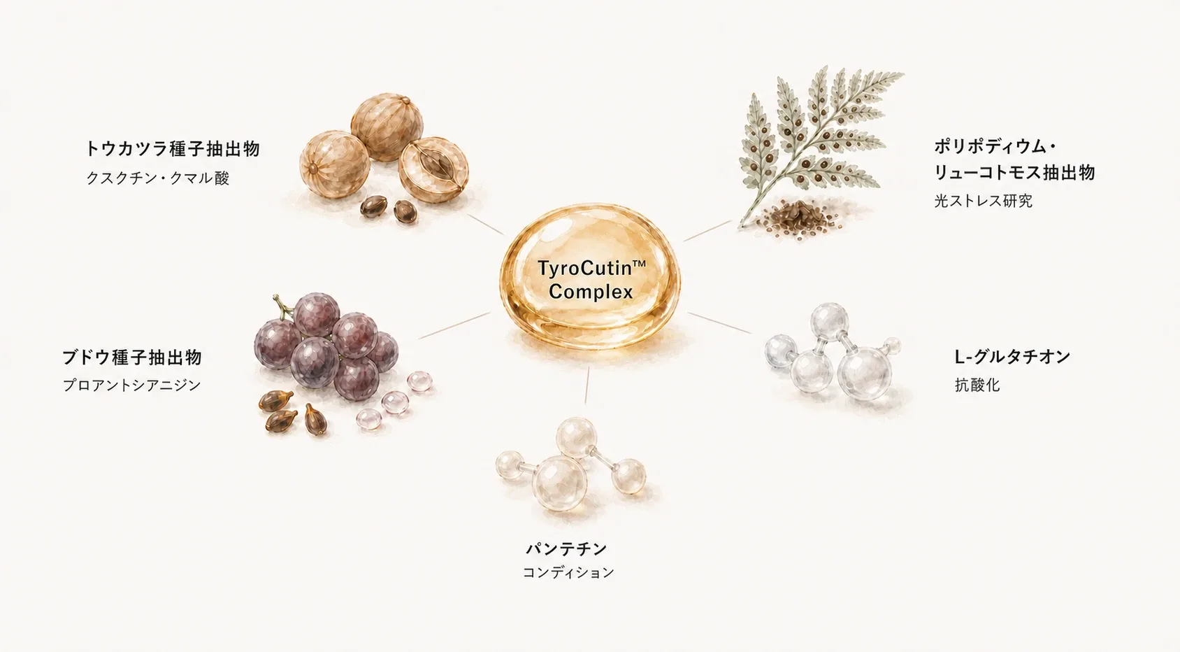 シスペラ トータルスキンのOral TyroCutin Complexと5つの配合素材を示す図解